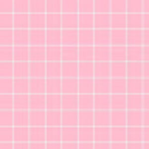 Meet your Posher, Mingyu